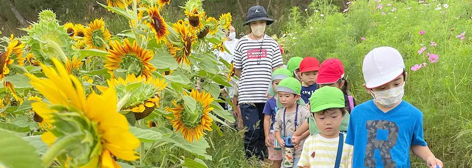 �F�肱�ǂ��� �b�c�c�t��